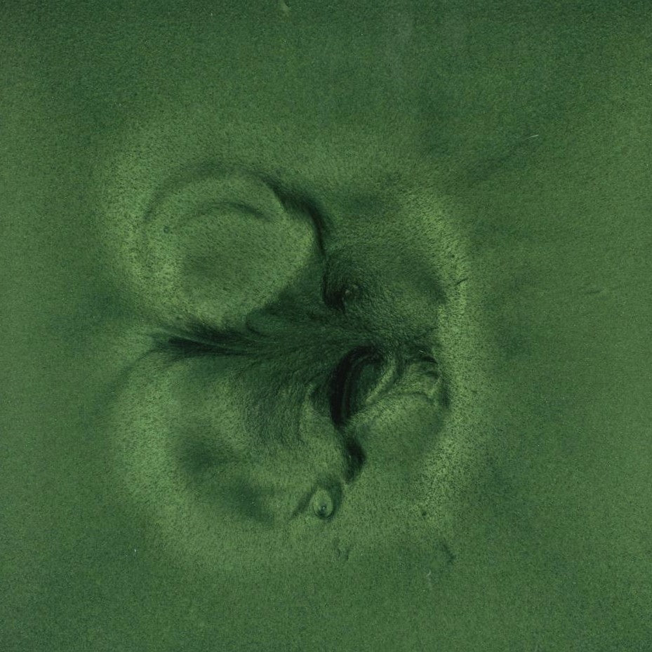 TITAN Pigment 8oz Metallic Epoxy Pigment